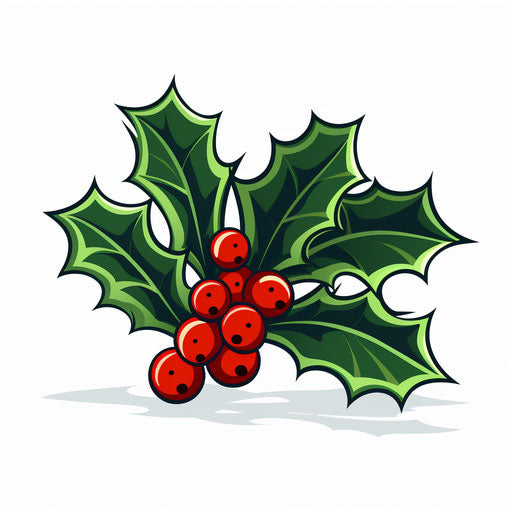 Minimalist-style illustration of holly, on white background