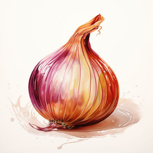 Onion illustration in the style of an oil painting, on a white background