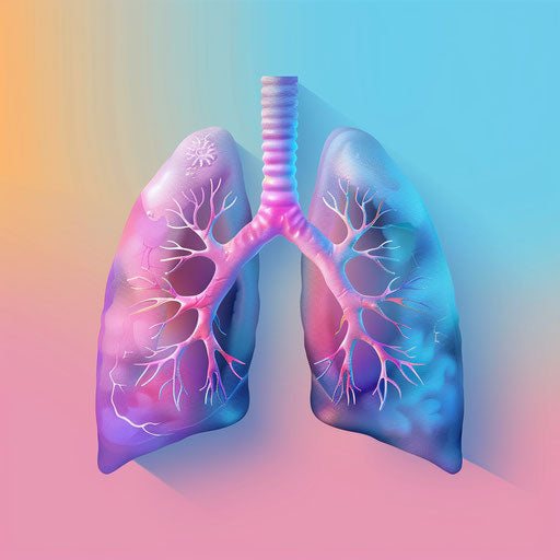 Realistic lungs clipart with random color background