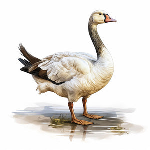 4K Vector Goose Clipart in Oil Painting Style