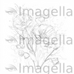 Flower Cartoon Png Clipart in Impressionistic Art Style: Vector & 4K