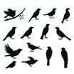 Birds Silhouette Png Clipart in Minimalist Art Style: 4K Vector Clipart