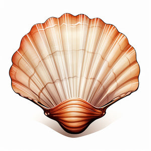 Seashell Clipart in Chiaroscuro Art Style: 4K Vector & SVG