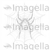 Spider Web Clipart in Oil Painting Style: 4K & Vector