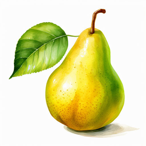 Pear Graphics in Oil Painting Style: 4K & Vector