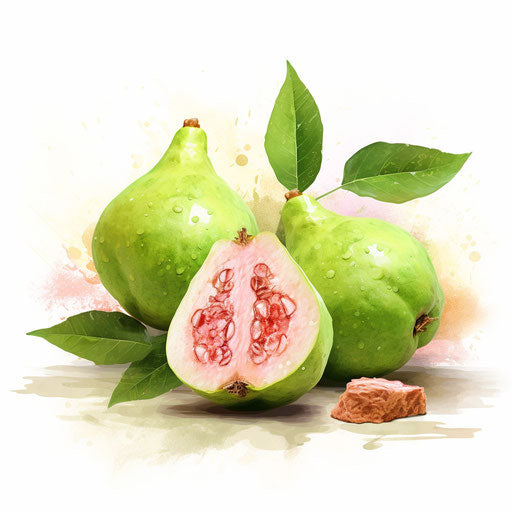 4K Guava Clipart in Impressionistic Art Style: Vector & SVG
