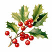 Holly Clipart in Oil Painting Style: Vector & 4K