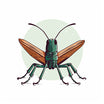 4K Vector Grasshopper Clipart in Minimalist Art Style