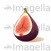 Fig Clipart in Minimalist Art Style: 4K & Vector