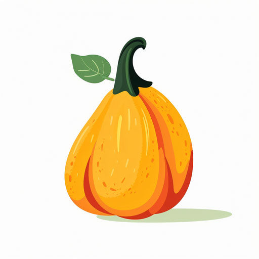 Squash Clipart in Minimalist Art Style: Vector ARt, 4K, EPS, PNG