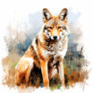 4K Vector Coyote Clipart in Impressionistic Art Style