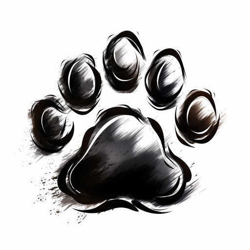 Paw Clipart in Chiaroscuro Art Style: Vector ARt, 4K, EPS, PNG