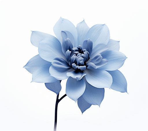 Flower Tattoo - Blossom into Your True Self