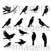Birds Silhouette Png Clipart in Minimalist Art Style: 4K Vector Clipart