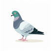 4K Vector Pigeon Clipart in Minimalist Art Style