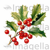 Holly Clipart in Oil Painting Style: Vector & 4K