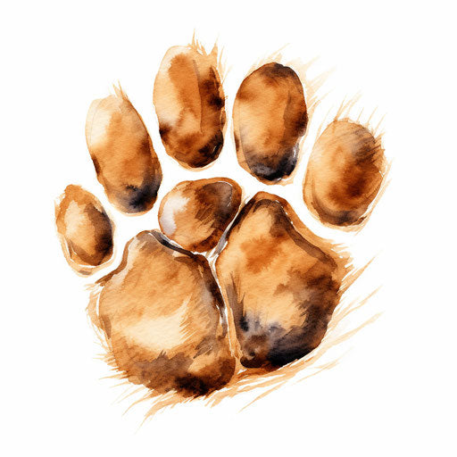 Dog Paw Clipart in Oil Painting Style: 4K & SVG
