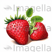 Strawberry Clipart in Oil Painting Style: 4K Vector & SVG
