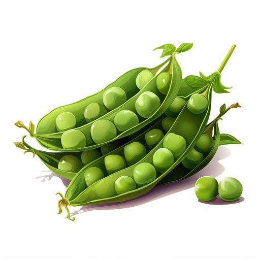 Peas Clipart in Chiaroscuro Art Style: HD Vector, 4K